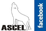 logoascel